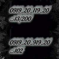 0919-110-40-30|سیم‌کارت|قم, شاه ابراهیم|دیوار