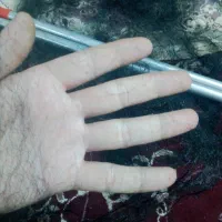 تورسهره|لوازم جانبی حیوانات|کوهدشت, |دیوار