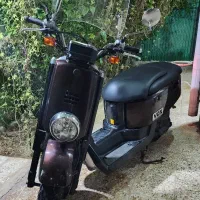 پاکشتی یاماها ووکسvox