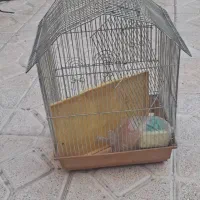 قفس پرندگان|لوازم جانبی حیوانات|اردبیل, |دیوار