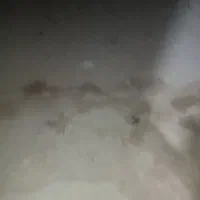 فروش زمین اولی جنوبی