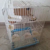 فروش مجموعه قفس و لوازم انواع نوع قفس