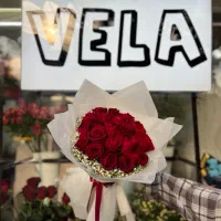 گلفروشی vela|گل و گیاه طبیعی|تبریز, |دیوار