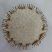 فروش برنج جمشید جو