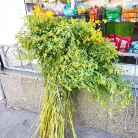 شاهسپرن اعلا