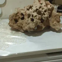 سنگ دکور و. ال ای دی اکواریوم