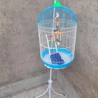 قفس آویز پرنده|لوازم جانبی حیوانات|قائن, |دیوار