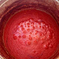 رب خانگی کاملا ارگانیک