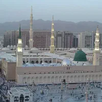 فیش عمره