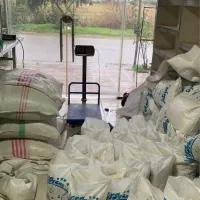 برنج درجه یک هاشمی کشت دوم|خوردنی و آشامیدنی|سرخرود, |دیوار