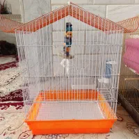 قفس|لوازم جانبی حیوانات|قم, یزدان‌شهر|دیوار