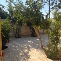 باغچه-نقلی-ماهان-بیست-قصبی