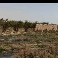 فروش باغ ۱۰۰۰ متری