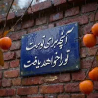 همایش حجامت