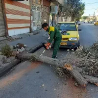 انجام خدمات باغبانی باغچه، هرس، کاشت|خدمات باغبانی و درختکاری|قم, وادی السلام|دیوار