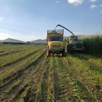 فروش زمین کشاورزی( جوی پسند خانی)