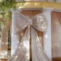 فروش و اجاره انواع پاپیون|زیورآلات و اکسسوری|هشتگرد, فاز ۲ مهستان|دیوار