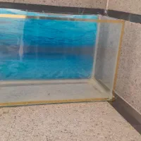 اکواریم در ابعاد ۸۵ در ۳۰ در ۴۵