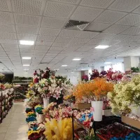 استخدام نیروی خانم در فروشگاه گل پخش