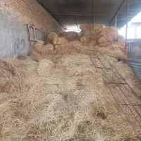 پرس کاه گندم وکتون