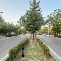 ویبایی ۴طبقه اسکلت ۳نبش مصلی۲۶ باقری۱۴|فروش زمین و ملک کلنگی|مشهد, کارمندان دوم|دیوار