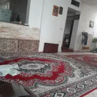 نظافت منازل مدارس شرکاها ومشاعات