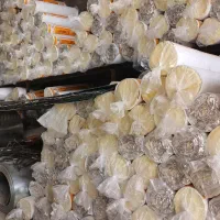 اجرای سقف شیب داروشیروانی جوشکاری سیار|خدمات پیشه و مهارت|مشهد, راه آهن|دیوار