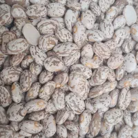 محصولات محلی|خوردنی و آشامیدنی|اهواز, شهدای انتظامی|دیوار