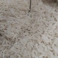 برنج فجر سوزنی|خوردنی و آشامیدنی|گرگان, |دیوار