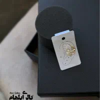 انواع بدلیجات با تنوع بالا