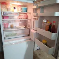 یخچال فریزر اسنوا، فریزر صندوقی|یخچال و فریزر|برازجان, |دیوار