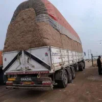 کاه نیشکر یا باگاس|لوازم جانبی حیوانات|ساری, |دیوار