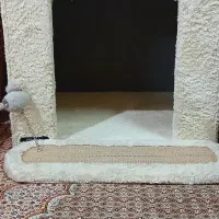 خانه گربه و اسکرچر