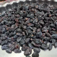 مویز مشکی شیراز|خوردنی و آشامیدنی|قم, زنبیل آباد|دیوار