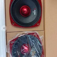 یک جفت میدرنج و یک جفت تیوتر سکه ای ساووی