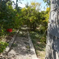 فروش باغ انار روستای امامزاده علی اکبر شهرضا|فروش دفتر صنعتی، کشاورزی، تجاری|شهرضا, |دیوار