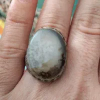 انگشترنقره ۹۲۵شجرمصور|جواهرات|کرمان, |دیوار