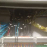 برقکار ساختمان وصنعتی|خدمات پیشه و مهارت|شیراز, فرهنگ شهر|دیوار