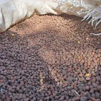 نخود سیاه بزری کیلو ۲۰۰ هزار