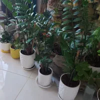 آبنمای خانگی دارای پمپ وتشتک فلزی