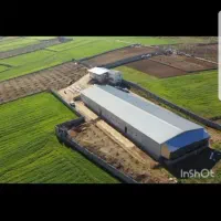 فروش مرغداری نکا|فروش دفتر صنعتی، کشاورزی، تجاری|نکا, |دیوار