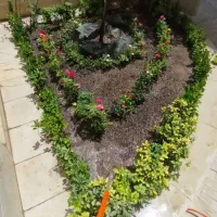 خدمات کلیه باغبانی باغچه کاری هرسکاری کاشت گل وگیا|خدمات باغبانی و درختکاری|تهران, صادقیه|دیوار