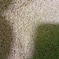 دان|حیوانات مزرعه|فردیس, سرحدی|دیوار