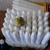 لوازم سیادی|ماهیگیری|قشم, |دیوار