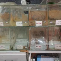 شیشه ادویه
