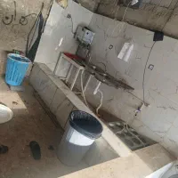 مرغ فروشی