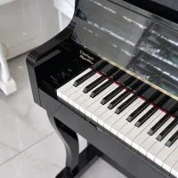 تولید به مصرف،پیانو گرون نخر|پیانو، کیبورد، آکاردئون|تهران, پونک|دیوار