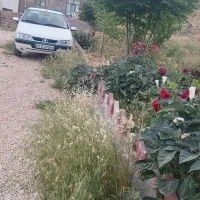 ۴۰۵ تی فایو ۹۸ سفید خیلی تمیز بدون رنگ