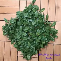 گرین وال و چمن مصنوعی|گل مصنوعی|گنبد کاووس, |دیوار