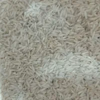 برنج دم سیاه 30کیلو